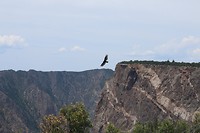 Where the eagles fly...