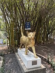 IMG_6680