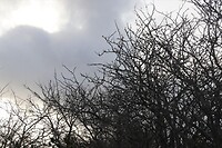 Een ietwat dreigende lucht maar we hebben het droog gehouden.