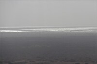 IMG_7423 (2)