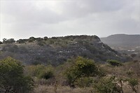 IMG_7431 (2)
