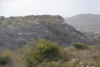 IMG_7432 (2)
