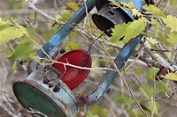 IMG_7488 (2)