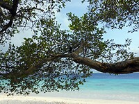 Uitzicht bij Donkey Beach.