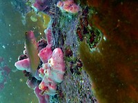 P1030678b