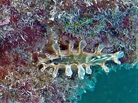 P1030725a