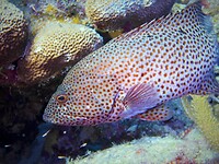 P1030820a