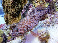 P1030836a