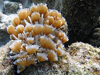 P1030930a