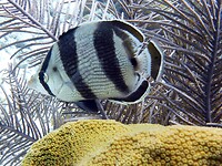 P1030955a
