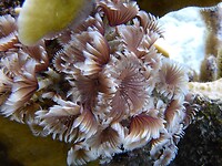 P1030975a