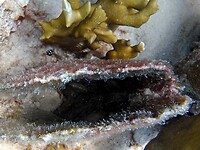 P1030979a