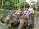 Bali Olifantenpark