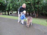 Australian Zoo - kangoeroes aaien