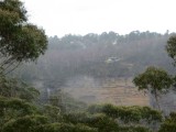 Blue Mountains - de volgende dag in de mist