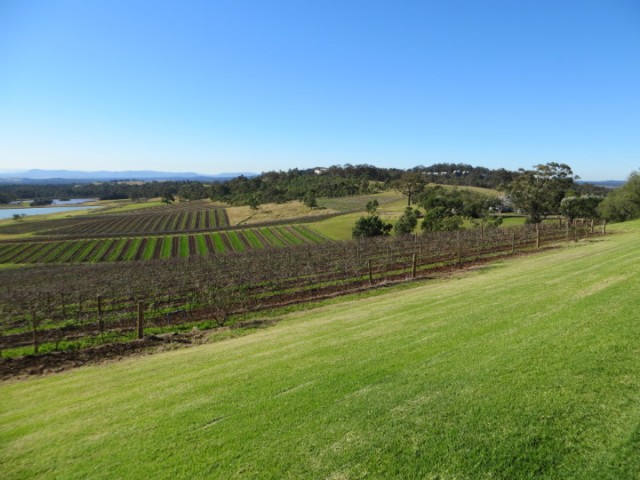 Hunter Valley - het uitzicht over de wijnvelden