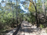 Fraser Island - over de zandweg