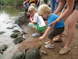 Billabong Sanctuary - schildpadden voeren