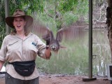 Billabong Sanctuary - een uil tijdens een volgelshow