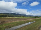 Eungella National Park - de weg er naar toe