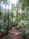 Eungella National Park - wandeling door het regenwoud