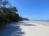 Cape Tribulation