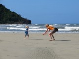 Cape Tribulation