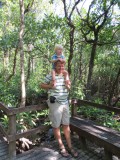 Cape Tribulation