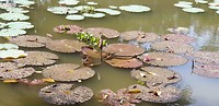 20190625_132001