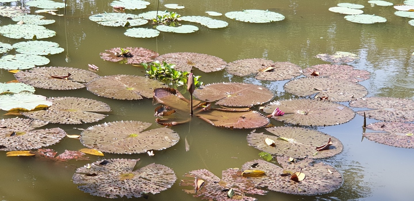 20190625_132001