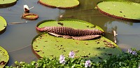 20190625_132317