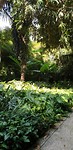 20190625_131240