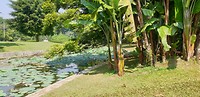 20190625_131452