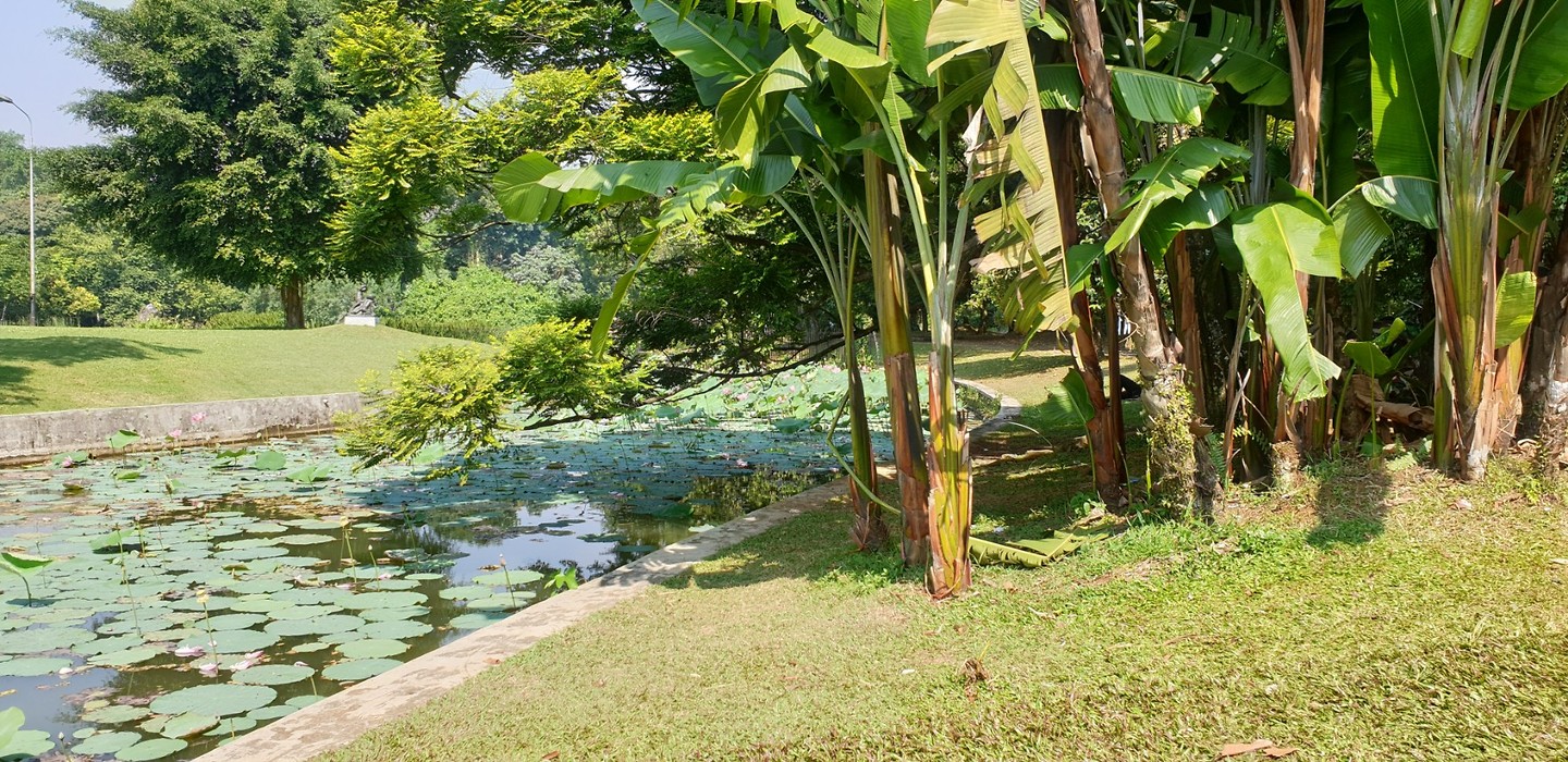 20190625_131452