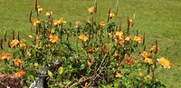 20190625_125551