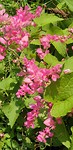 20190625_125638