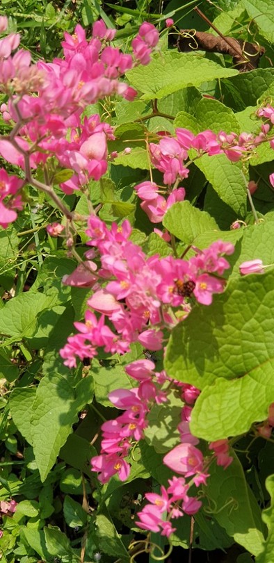 20190625_125638
