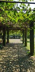 20190625_125213