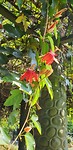 20190625_125246