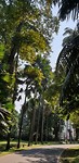 20190625_124903
