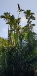 20190625_124651