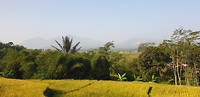 20190627_080811
