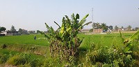 20190627_084021