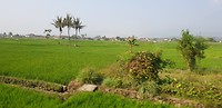 20190627_083949