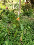 20190630_123339