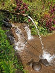 20190630_123350