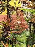 20190630_124729