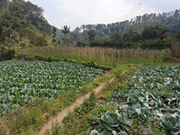 20190630_123037