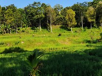 20190708_093516