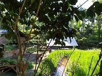 20190708_091656